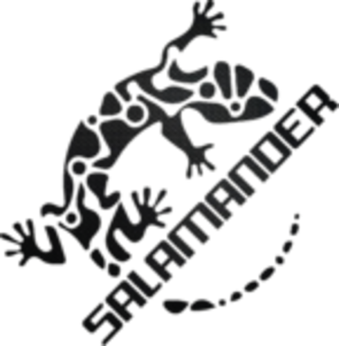 Salamander